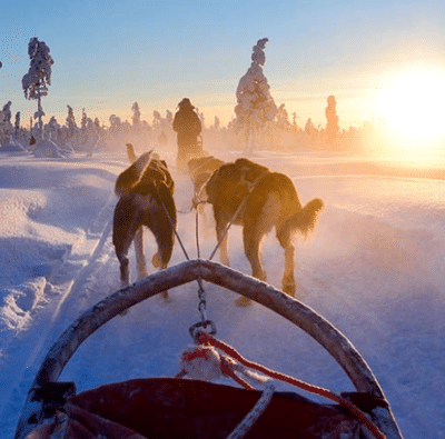 Lapland vakantie boeken? Unieke vakanties met Xplore the North!